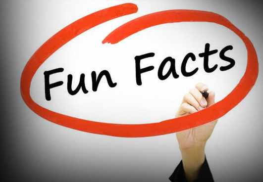 Fun Facts