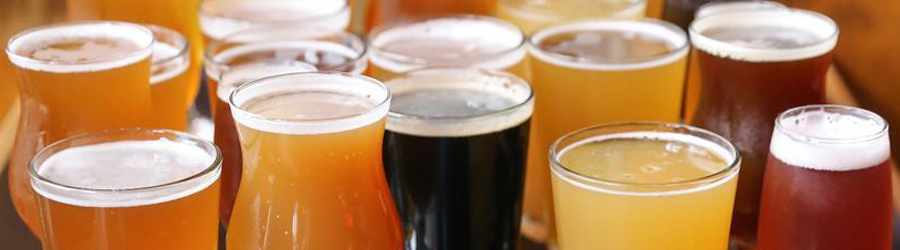 Guided Walking Tour 1